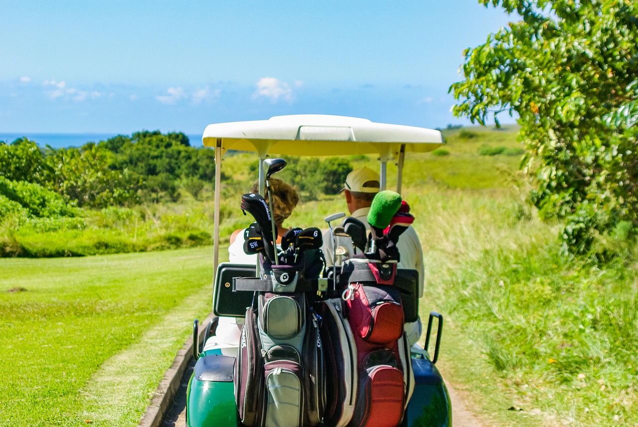 golf, golf cart, golf kit, golf bags, sport, leisure, driving, golfing, golf cart, golf cart, golf cart, golf cart, golf cart